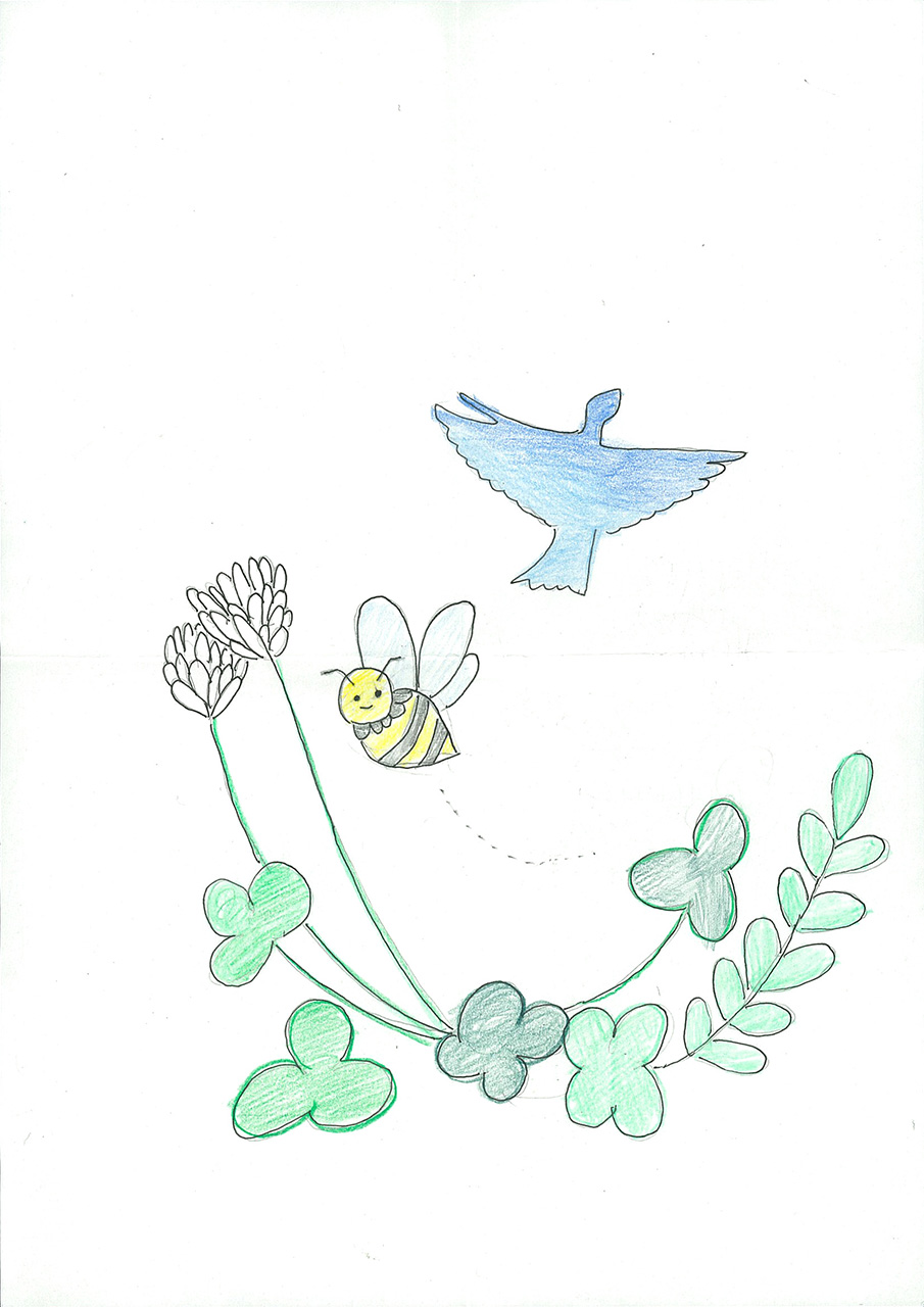 「みどりのジュータン」