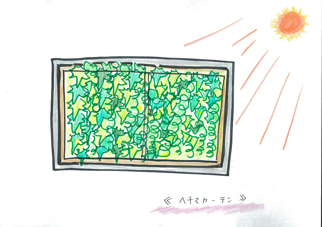 「ヘチマカーテン」